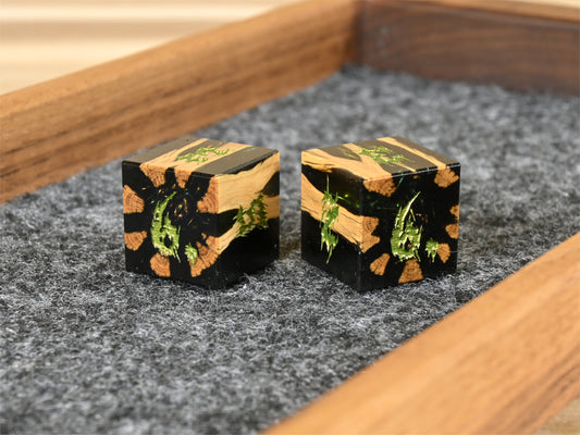 Fey portal cholla wood and resin hybrid 2d6 dice